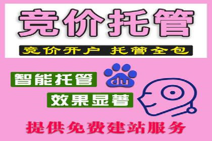 高效百度推广案例解析及优化策略